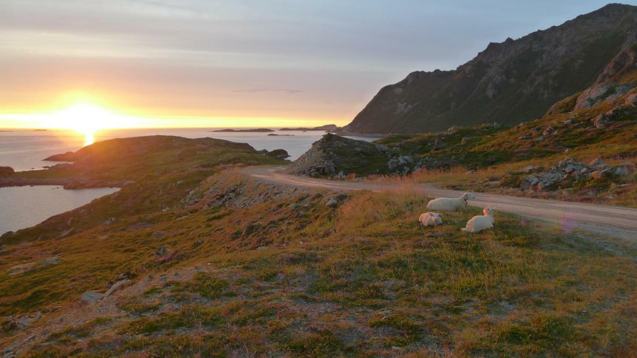 Lovely 3 Rooms Apartment For Holiday In Nyksund Eksteriør bilde